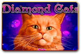Diamond Cats