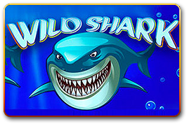 Wild Shark