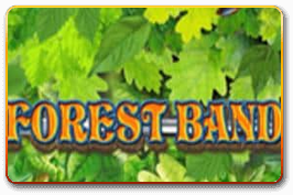 Forest Band