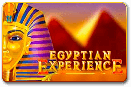 Egyptian Experience