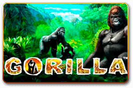Gorilla