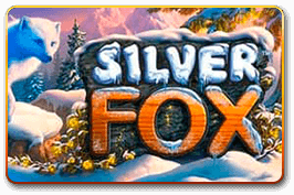 Silver Fox